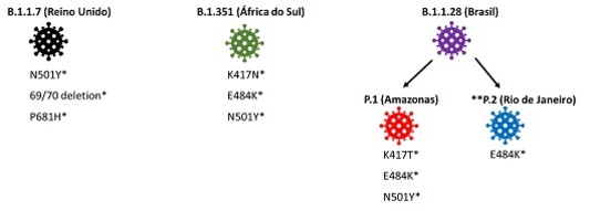 Variante P.2, isolada primeiramente no RJ, está sendo identificada em outras localidades do Brasil