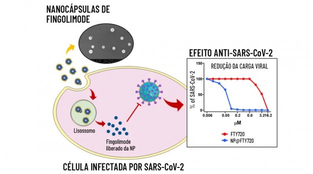 Imagem destacada: Infográfico cedido pelo pesquisador